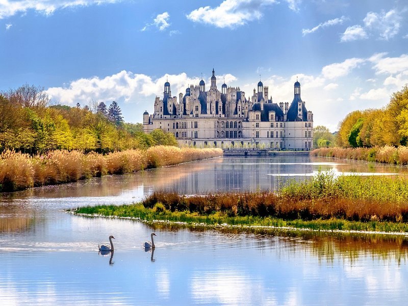 Chambord across the water in autumn, swans on the surface