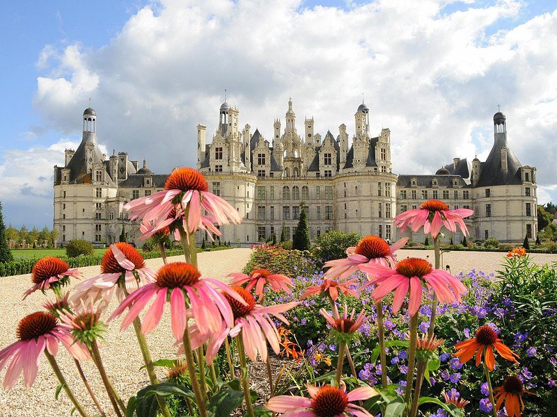 Chambord behind summer flowers